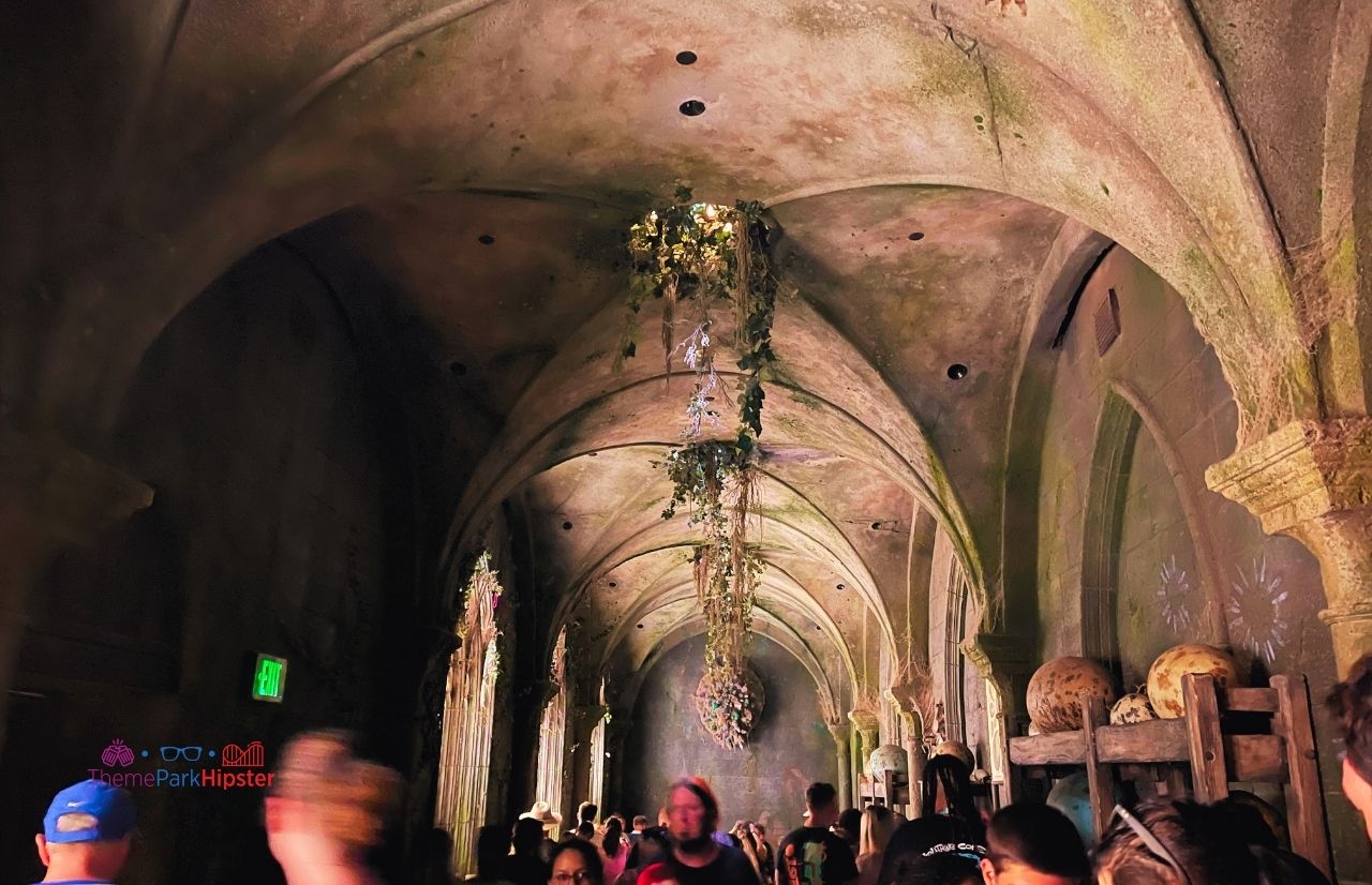 Universal Orlando Resort Hagrid's Magical Creatures Motorbike Adventure in Islands of Adventure queue. Keep reading to get The Best Wizarding World of Harry Potter Itinerary.