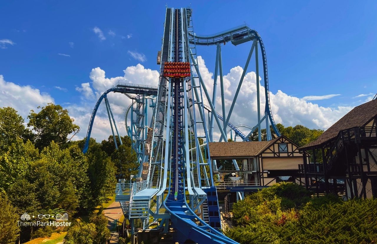 Griffon Roller Coaster at Busch Gardens Williamsburg, Virginia (9)